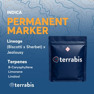 Permanent Marker by Terrabis