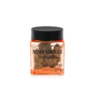 Space Queen - Fast Times by Miss Grass