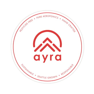 Apple Fritter #2 by Ayra