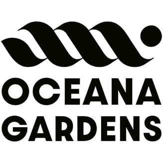 Vanilla Cream Pie by Oceana Gardens