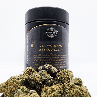Acai Berry Gelato by S&H Green Life
