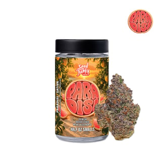 Paradisi by Seed Junky Genetics