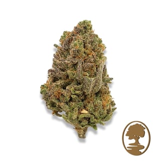 Scarlet Queen by Osage Creek