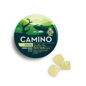 CAMINO — Social Sparkling Pear