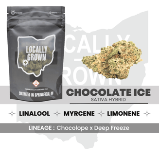 Chocolate Ice (14.15g) by Locally Grown