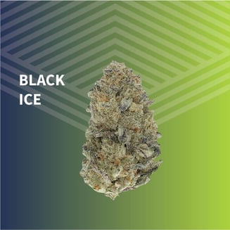 Black Ice by Pure Dakota