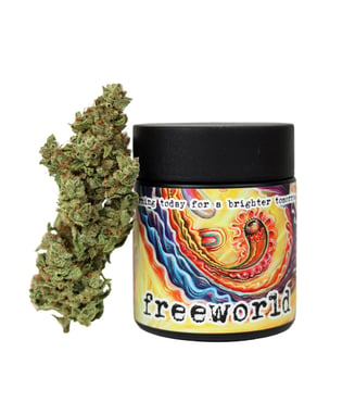 A1 Stank Sauce by FreeWorld Genetics