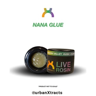 Nana Glue by Urban Xtracts