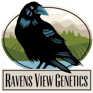Squirt by Ravens View Genetics