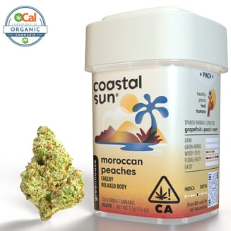 Coastal Sun — Moroccan Peaches