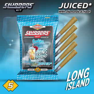 Sluggers: Long Island