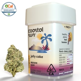 Coastal Sun — Jelly Cake