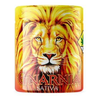Narnia by Soulshine