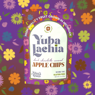 Dark Chocolate Covered Apple Chips (50mg) by Yubalachia