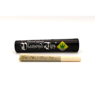 808 Runtz x Animal Sherbert [.7g] by Gold Leaf Gardens