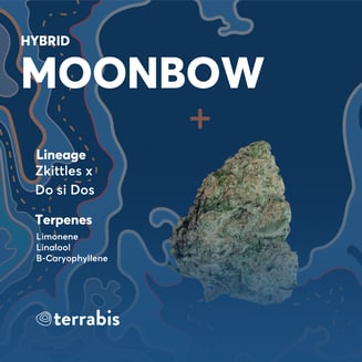 Moonbow by Terrabis