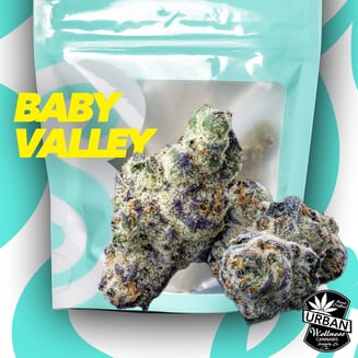Valley Baby by Soft Serve