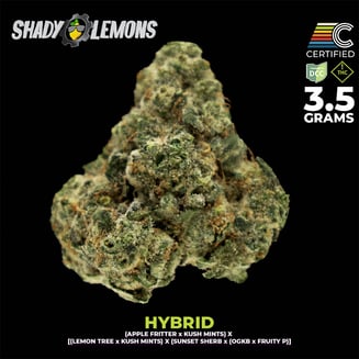 Shady Lemons by CERTIFIED