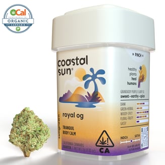 Coastal Sun — Royal OG