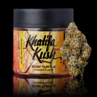 Baby Turtle by District Cannabis