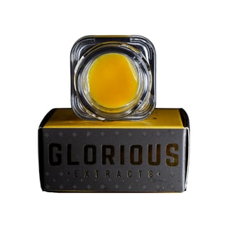 Apple Fritter by Glorious Extracts
