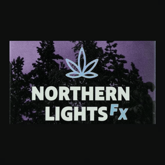 Northern Lights: Salt Water