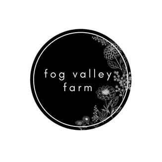 Grandma Kush's Chocolate Chip Cookies [10pk] (50mg) by Fog Valley Farms