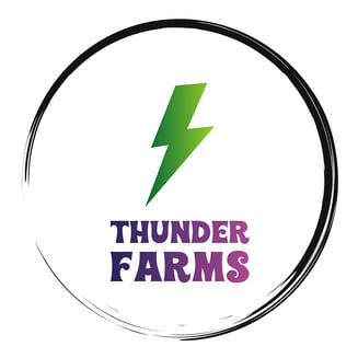 25 Eyes by Thunder Farms