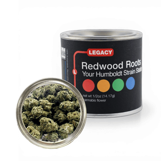 Redwood Roots: Space Rocks