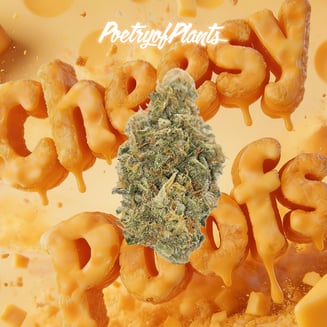 Cheesy Poofs