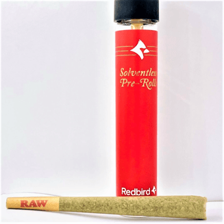 Acai Gelato [1g] by Redbird