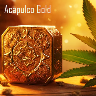 Acapulco Gold by Pioneer Nuggets