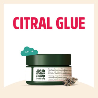 Citral Glue