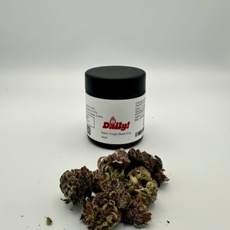 Daily! Tropic Burst 3.5g 0069 by Daily!