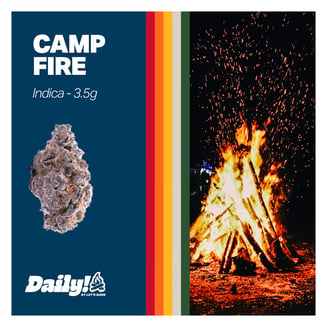 Daily! - Campfire (I) Flower C0200000163