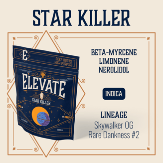 Star Killer by Elevate