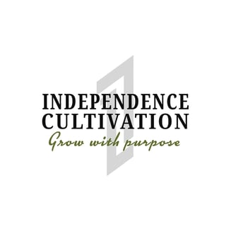 Jungle Cake by Independence Cultivation