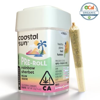 Coastal Sun: Rainbow Sherbet