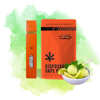 Lime Sherbet Punch [500mg] by Safety Meeting  - IL