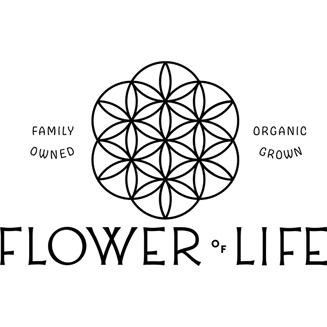 Banana Runtz by Flower of Life