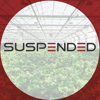 1:1 CBD Blue Bull by Suspended Brands