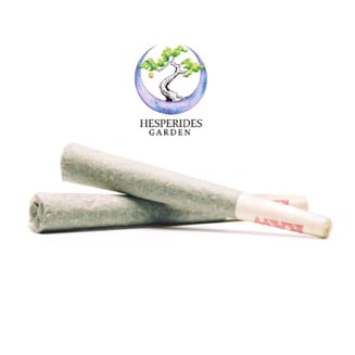 9 Pound Hammer [.5g] by Hesperides Garden