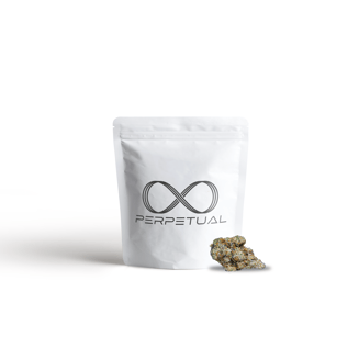 2090 Shit by Perpetual