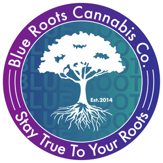 UK Cheese by Blue Roots Cannabis Co.