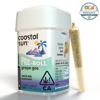 Coastal Sun — Grape Gas