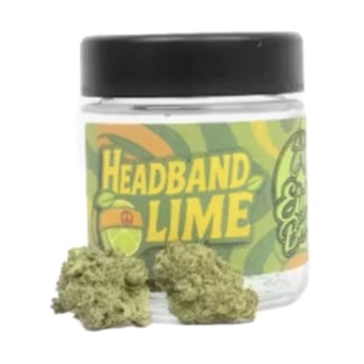 Eighth Brother — Headband Lime