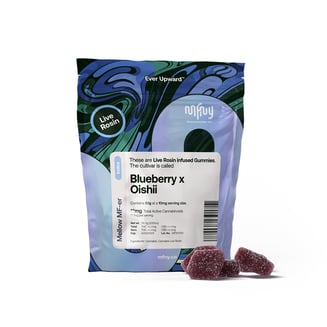 Blueberry x Oishi [10pk] (100mg) by MFNY