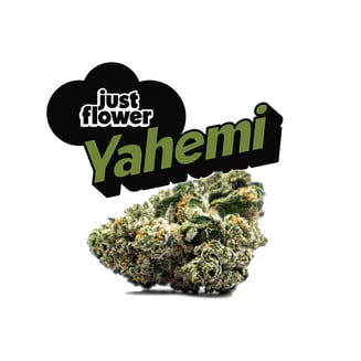 Yahemi [15g] by Just Flower