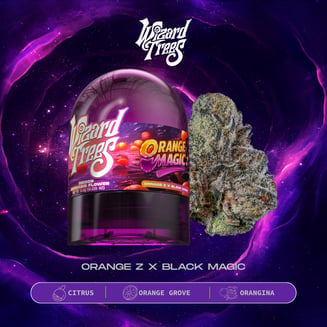 Orange Magic by Wizard Trees