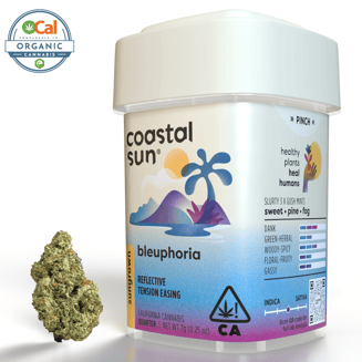 Coastal Sun — Bleuphoria